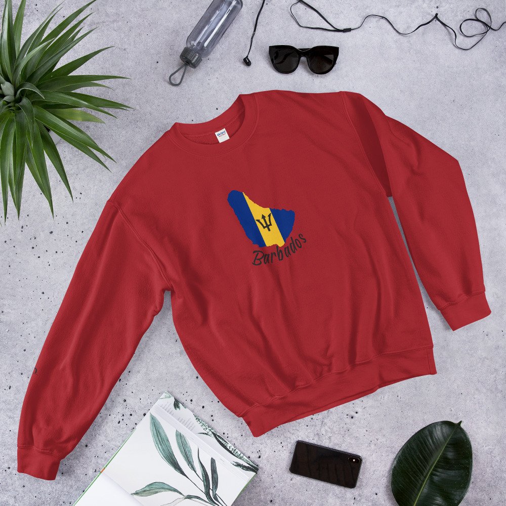 Barbados Pride Hoodie - Image 2
