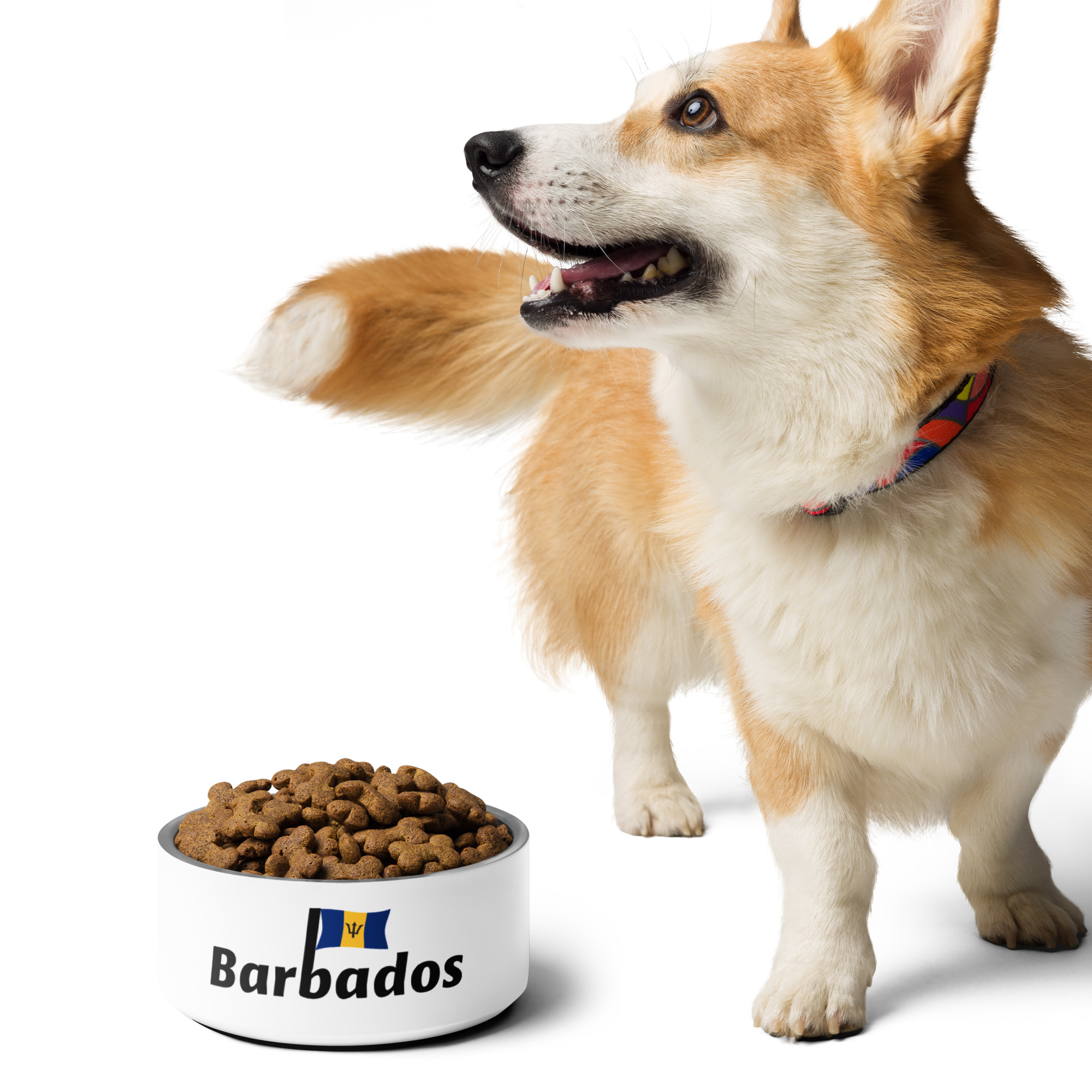 Barbados Pride Mug