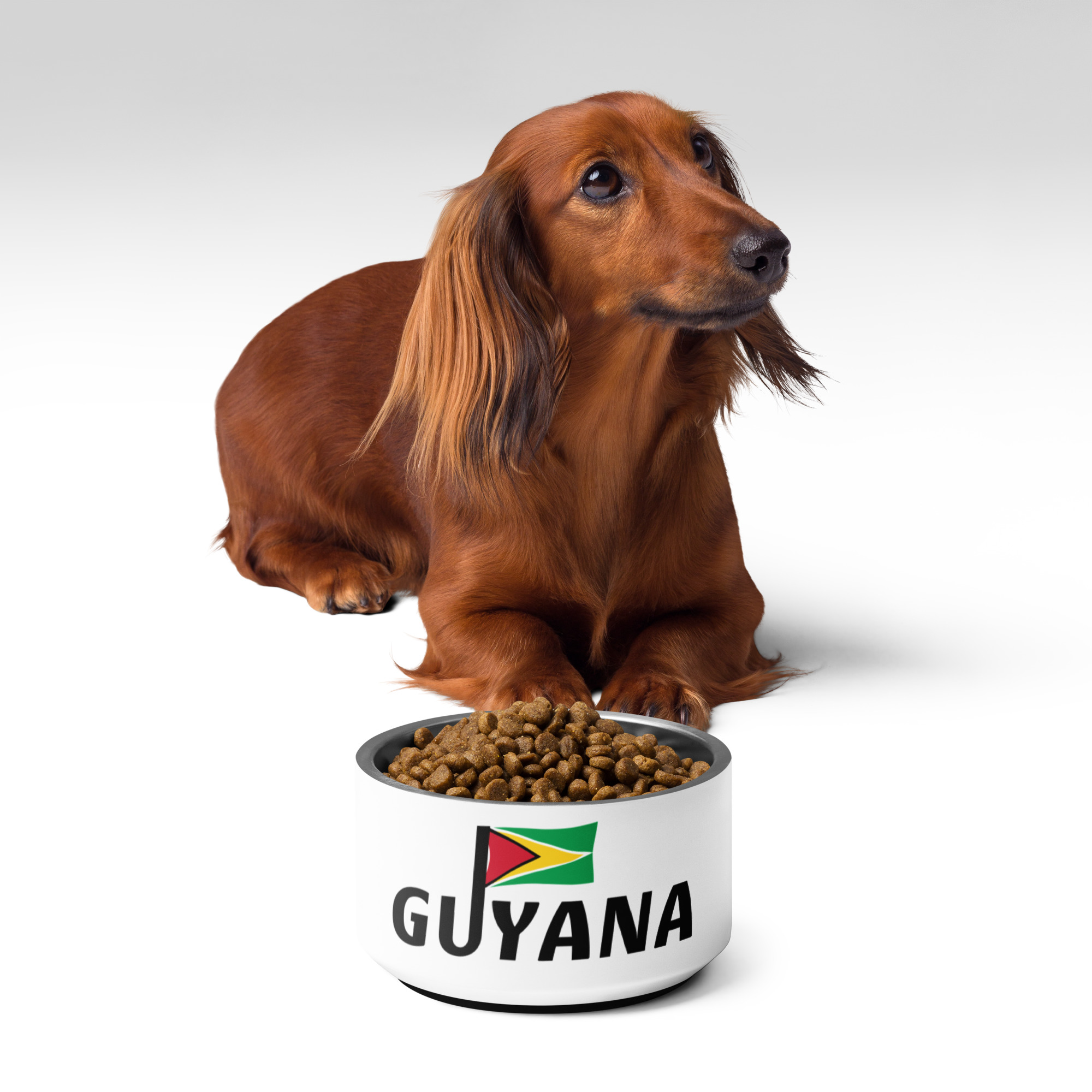 Guyana Pride Mug - Image 2