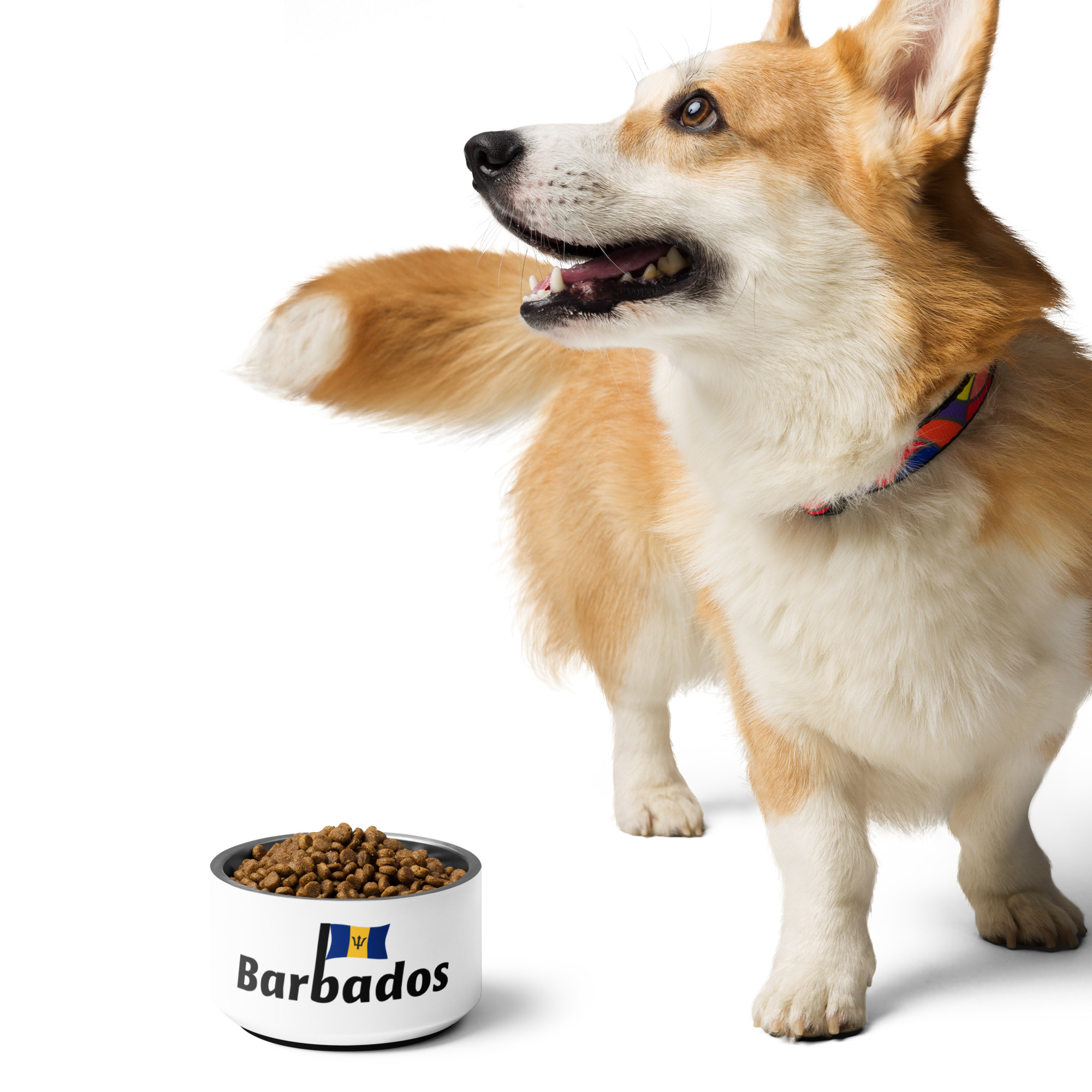 Barbados Pride Mug - Image 2