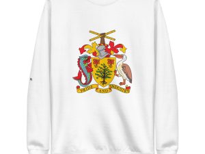 Haiti Pride Hoodie