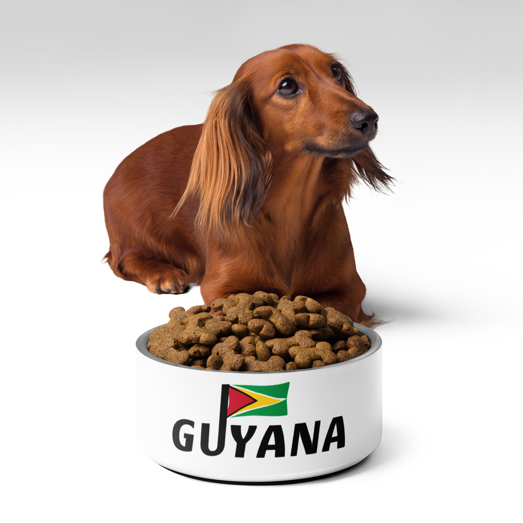 Guyana Pride Mug