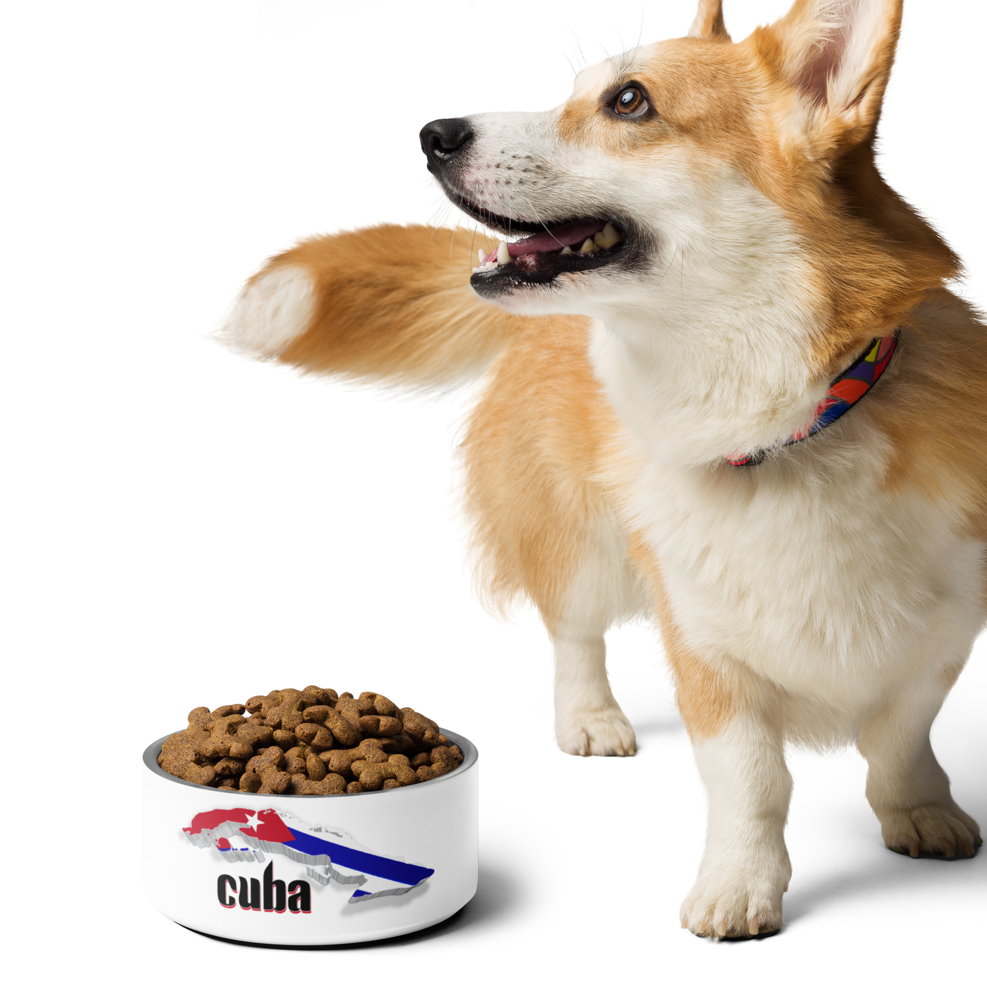 Cuba Pride Mug